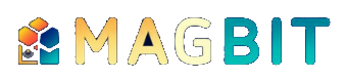 MagBit Logo